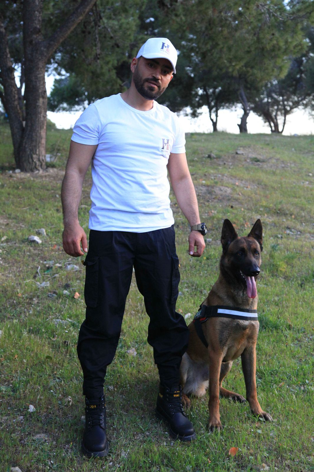 L'humain guide, le chien répond : ensemble ils progressent