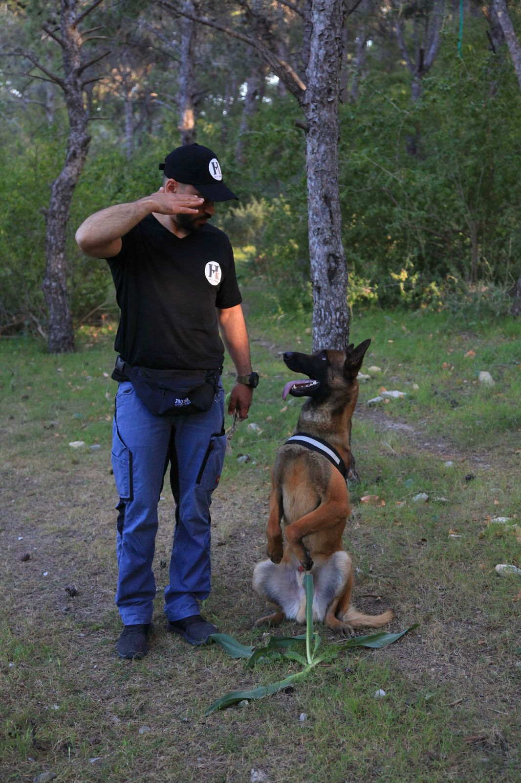Renforcement des ordres de base pendant l'entraînement