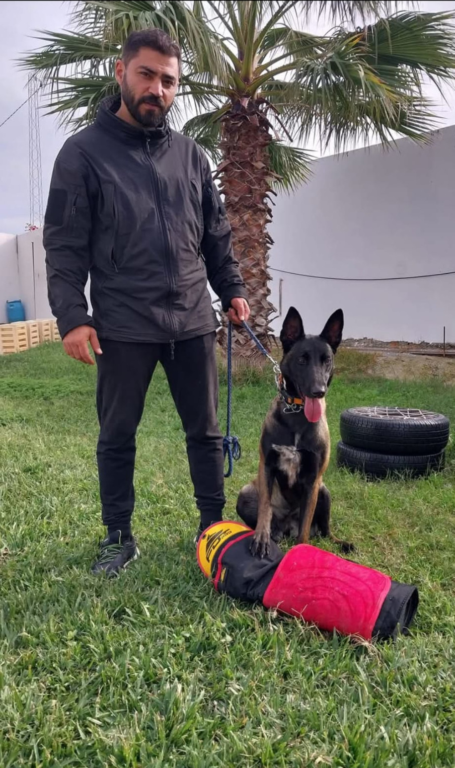 Chien attentif exécutant un exercice d'obéissance